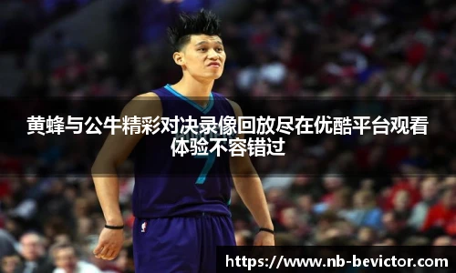 黄蜂与公牛精彩对决录像回放尽在优酷平台观看体验不容错过
