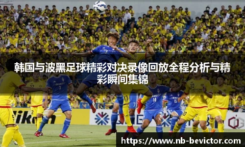 韩国与波黑足球精彩对决录像回放全程分析与精彩瞬间集锦